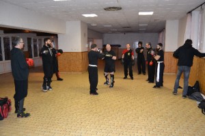 hunggarnancy-artsmartiaux-wushu-kungfu-sanda-22decembre2015-7    